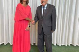 منصور يلتقي نائبة رئيس وزراء سلوفينيا