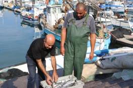 ميناء يافا وصيادو الأسماك العرب: معركة على الهوية