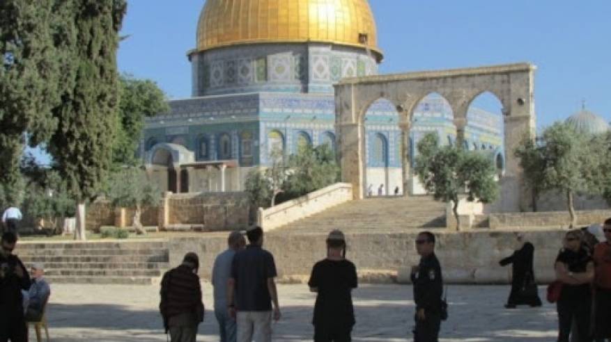فعاليات القدس: سياسة الاحتلال الممنهجة من تهجير وتطهير عرقي تخترق كافة القوانين والأعراف الدولية