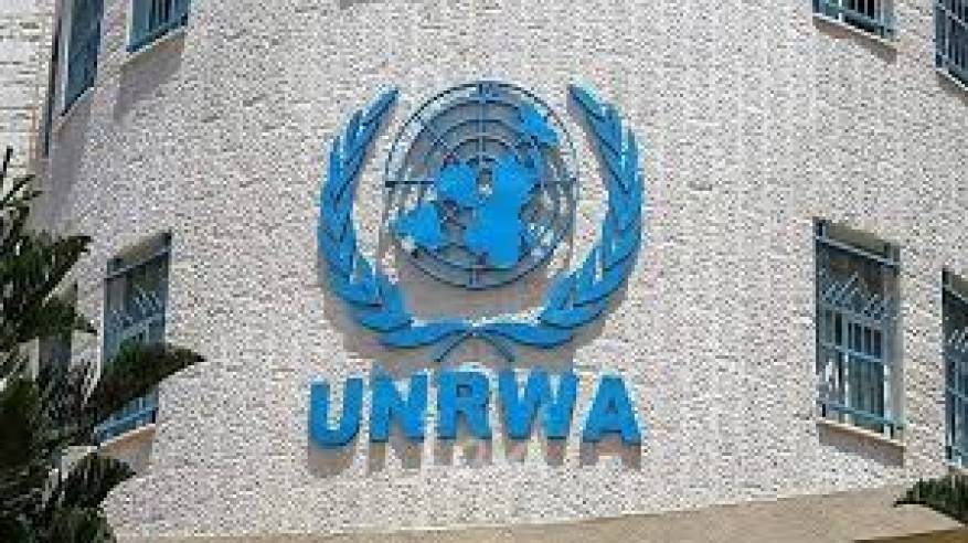 الأونروا تدعو الدول للإيفاء بالتزاماتها تجاه الإعلان العالمي لحقوق الإنسان