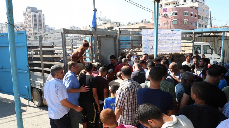تصريح للناطق الرسمي للأونروا بشأن توزيع الغذاء في غزة