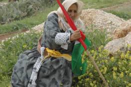 الفلسطينيون يرثون أرضهم
