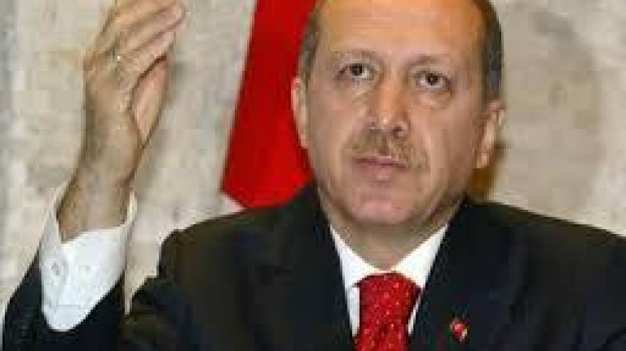أردوغان يدعو رسميا إلى انتخابات مبكرة في تركيا